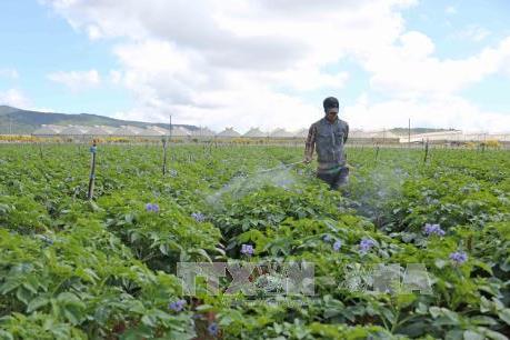 Các doanh nghiệp nông nghiệp vẫn gặp khó