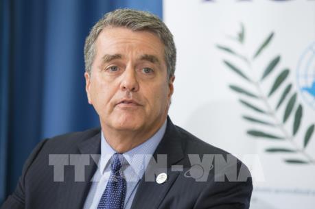 WTO cảnh báo thương mại toàn cầu đang bị đe dọa