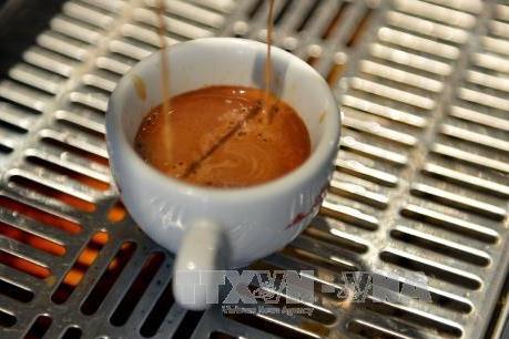 Cà phê sẽ bị cấm bán tại các trường học của Hàn Quốc