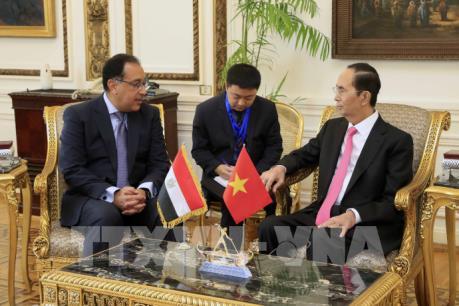 Thứ trưởng Ngoại giao nói về kết quả chuyến thăm Ethiopia và Ai Cập của Chủ tịch nước