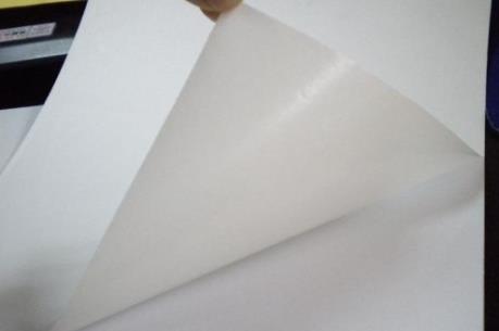 Mỹ bỏ thuế nhập khẩu đối với giấy in của Canada