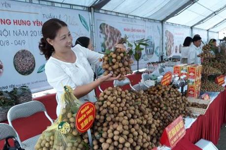 Giới thiệu, quảng bá nhãn lồng Hưng Yên tại Hà Nội