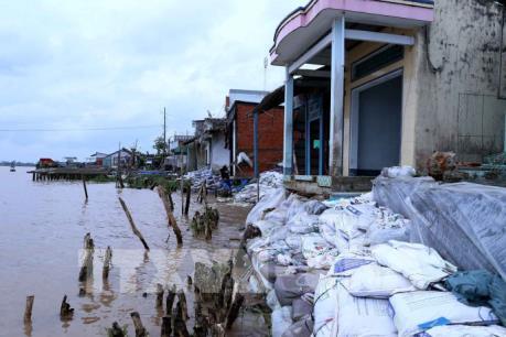 Người dân Cần Thơ liều mình sống cùng sạt lở