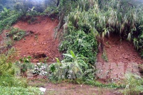 Hòa Bình: Nhiều địa phương thiệt hại nặng nề do mưa lớn