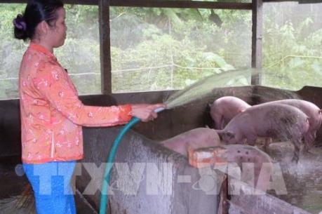 Mô hình tổ vay vốn giúp hàng nghìn hội viên thoát nghèo, làm giàu 