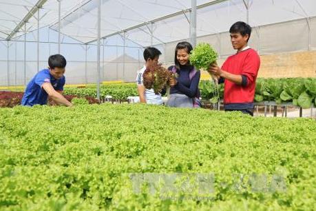 Gian nan cho vay nông nghiệp công nghệ cao