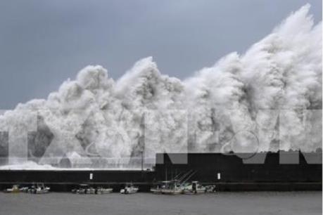 Nhật Bản: Khoảng 5.000 người mắc kẹt tại sân bay Kansai