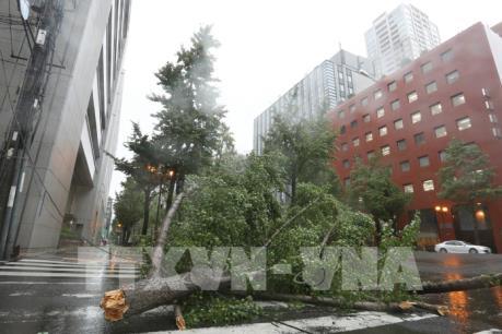 Khoảng 160 học sinh tiểu học bị mắc kẹt ở Kyoto do bão Jebi