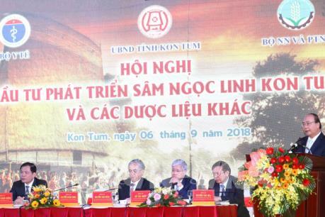 Thủ tướng: Bảo hộ giá trị thương hiệu sâm Ngọc Linh như thương hiệu quốc gia Việt Nam