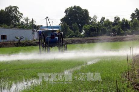 Giảm 30% thuốc bảo vệ thực vật trong danh mục vào năm 2020