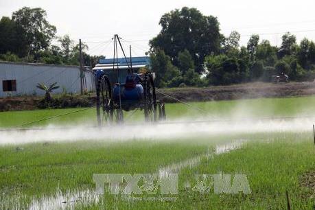 Sẽ sớm loại bỏ hoạt chất Glyphosate trong thuốc bảo vệ thực vật