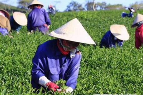 WEF ASEAN 2018: Hướng tới mục tiêu tăng trưởng bền vững nông nghiệp Việt Nam