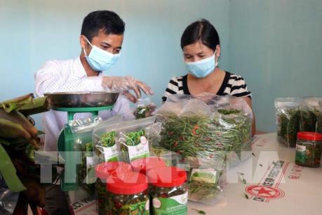 Nông sản sạch huyện vùng cao Quảng Ngãi kết nối với siêu thị BigC