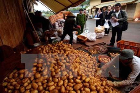 Từ 15/9, chợ nông sản Đà Lạt chỉ được kinh doanh nông sản địa phương