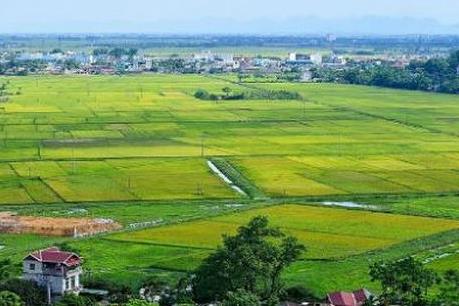 Diện tích tối thiểu khi tách thửa đất ở Đà Nẵng là bao nhiêu?