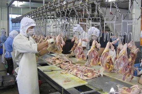 Xuất khẩu có cơ hội tăng trưởng mạnh