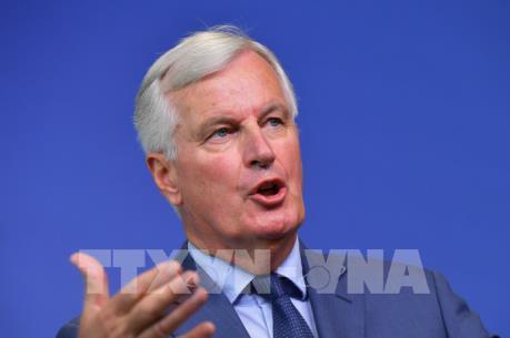 EU sẵn sàng đơn giản hóa các thủ tục kiểm tra cần thiết tại biên giới Ireland