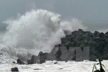 Ứng phó với áp thấp nhiệt đới có khả năng đi vào biển Đông
