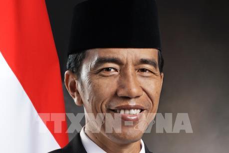 Tổng thống Cộng hòa Indonesia và Phu nhân bắt đầu thăm cấp Nhà nước Việt Nam