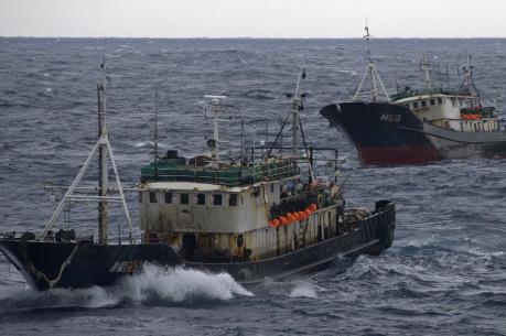 Hàn Quốc chia sẻ với Việt Nam kinh nghiệm quản lý ngư nghiệp