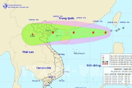 Các tỉnh, thành phố ven biển chủ động ứng phó với bão số 5