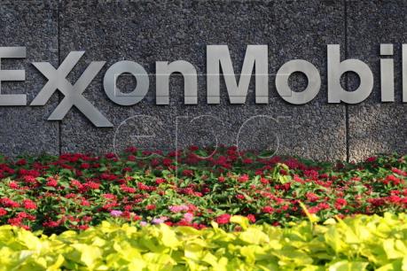 ExxonMobil đầu tư 500 triệu bảng vào nhà máy lọc dầu Fawley
