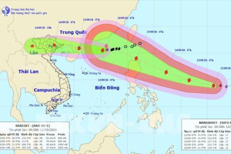 Quảng Ninh cấm biển từ 6 giờ ngày 13/9 để chống bão