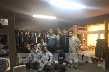 Người Việt Nam có kỹ năng đặc định dẫn đầu về số lao động ở Nhật Bản