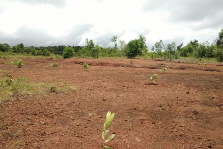 Nhiều sai phạm liên quan đến dự án của Công ty Long Sơn