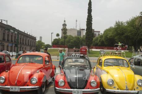 Volkswagen có ý định chấm dứt chế tạo biểu tượng xe hơi Beetle