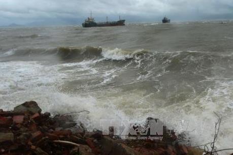 Hải Phòng yêu cầu chủ tàu thuyền di chuyển ngay về nơi trú bão an toàn