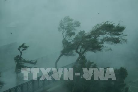 Cảnh báo nguy cơ xảy ra lũ quét, sạt lở đất ở các tỉnh miền núi Bắc Bộ