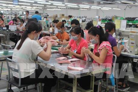 Doanh nghiệp FDI đóng góp 22% tổng thu ngân sách của Long An