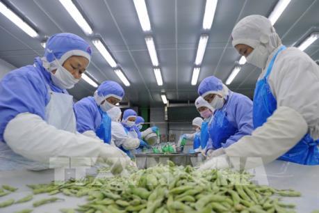 Mỹ "gây hấn" với hàng loạt nước về thương mại