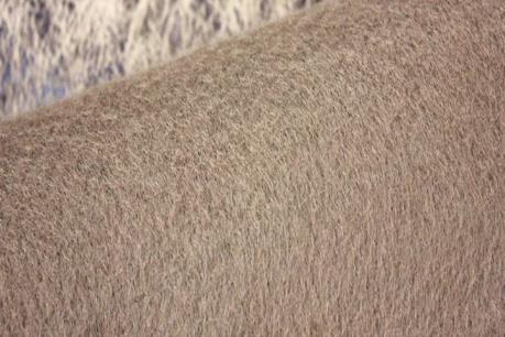 Nhà máy Konlon Bình Dương vốn đầu tư 220 triệu USD bắt đầu hoạt động