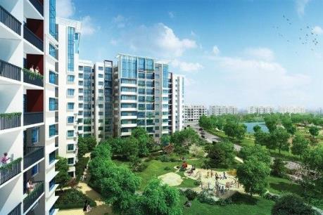 SCR trả cổ tức 7% bằng cổ phiếu trong quý III