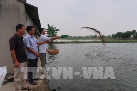 Thu nhập tăng gấp 6, 7 lần nhờ nuôi trồng thủy sản