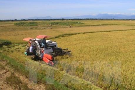 Đồng bằng sông Cửu Long mùa nước nổi-Bài cuối: Mong chờ mùa lũ "đẹp"