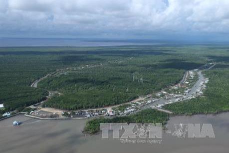 ĐBSCL thích ứng với biến đổi khí hậu - Bài 3: Phát huy vai trò kinh tế tập thể