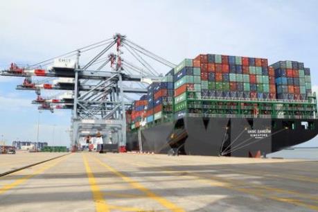 Dự án xây dựng Trung tâm logistics, cảng tổng hợp Cái Mép hạ