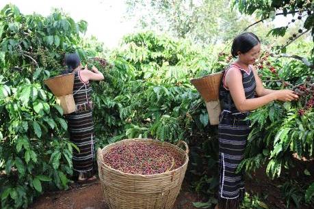 Nestlé tham gia tích cực nhất vào Hiệp ước Toàn cầu Liên Hiệp Quốc