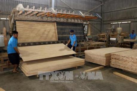 Cao su Việt Nam đối mặt với sức ép từ cằng thằng thương mại  Mỹ - Trung Quốc