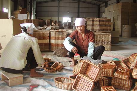 Xây dựng Đề án Thống kê khu vực kinh tế chưa được quan sát