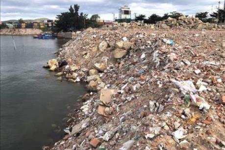 Bình Định xử phạt nghiêm doanh nghiệp lấp đầm Thị Nại