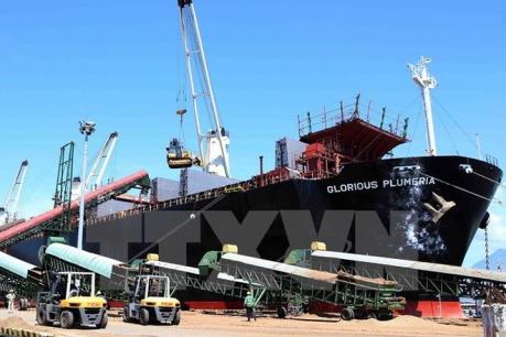 Đà Nẵng: "Điểm sáng" trong phương thức thu hút đầu tư FDI