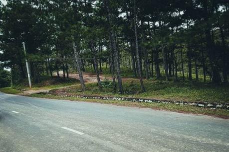 Sửa chữa tuyến đường đi Suối Vàng Đà Lạt