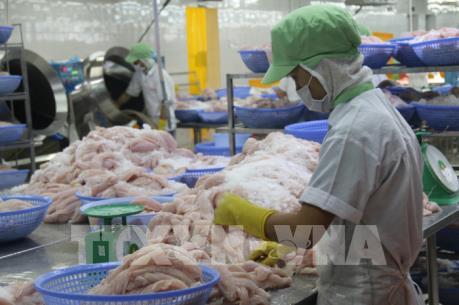 Giải pháp xuất khẩu thủy sản thông qua áp dụng tiêu chuẩn quốc tế