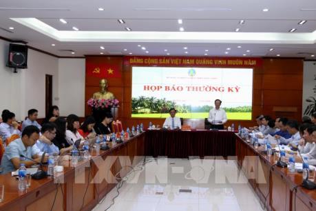 Bộ NN và PTNT lên tiếng về việc biển xe hộ đê giả