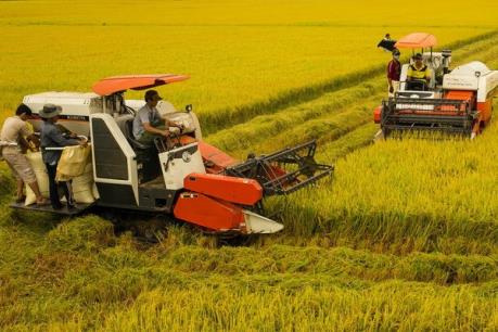 Khuyến khích doanh nghiệp đầu tư vào nông nghiệp