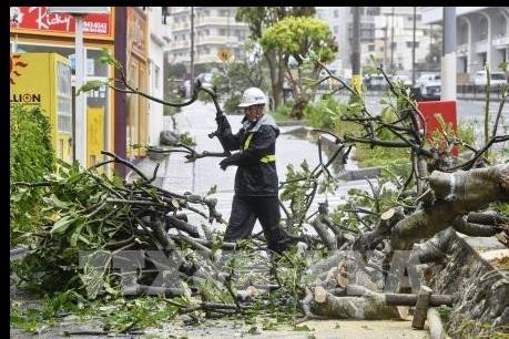 Bão Trami càn quét thủ đô Tokyo, Nhật Bản